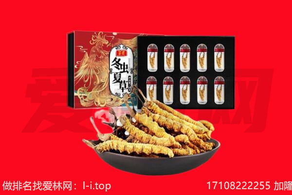 贵德虫草回收